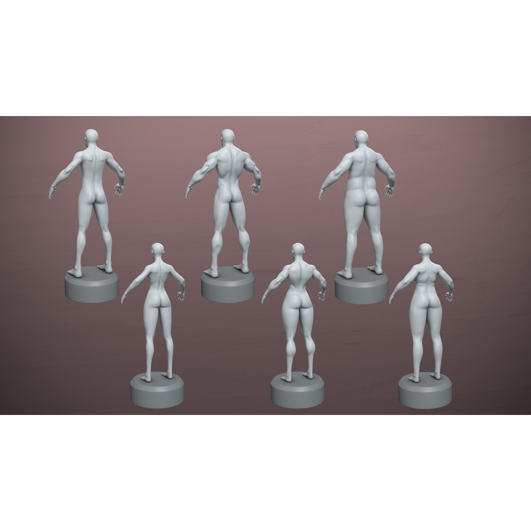 Stylized Basemesh Pack 3D Model – Low Poly Character Meshes, FBX/Blender - View 4