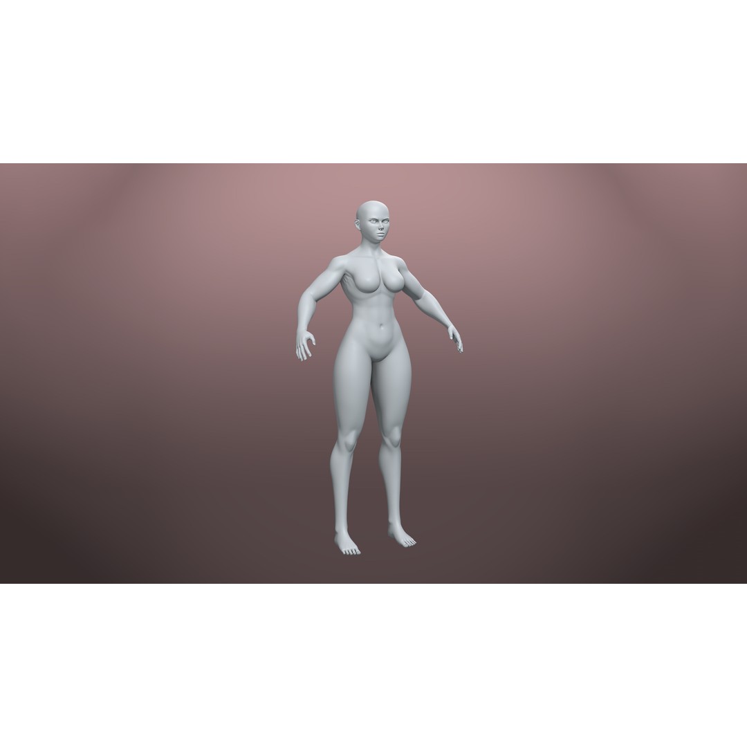 Stylized Basemesh Pack 3D Model – Low Poly Character Meshes, FBX/Blender - View 5