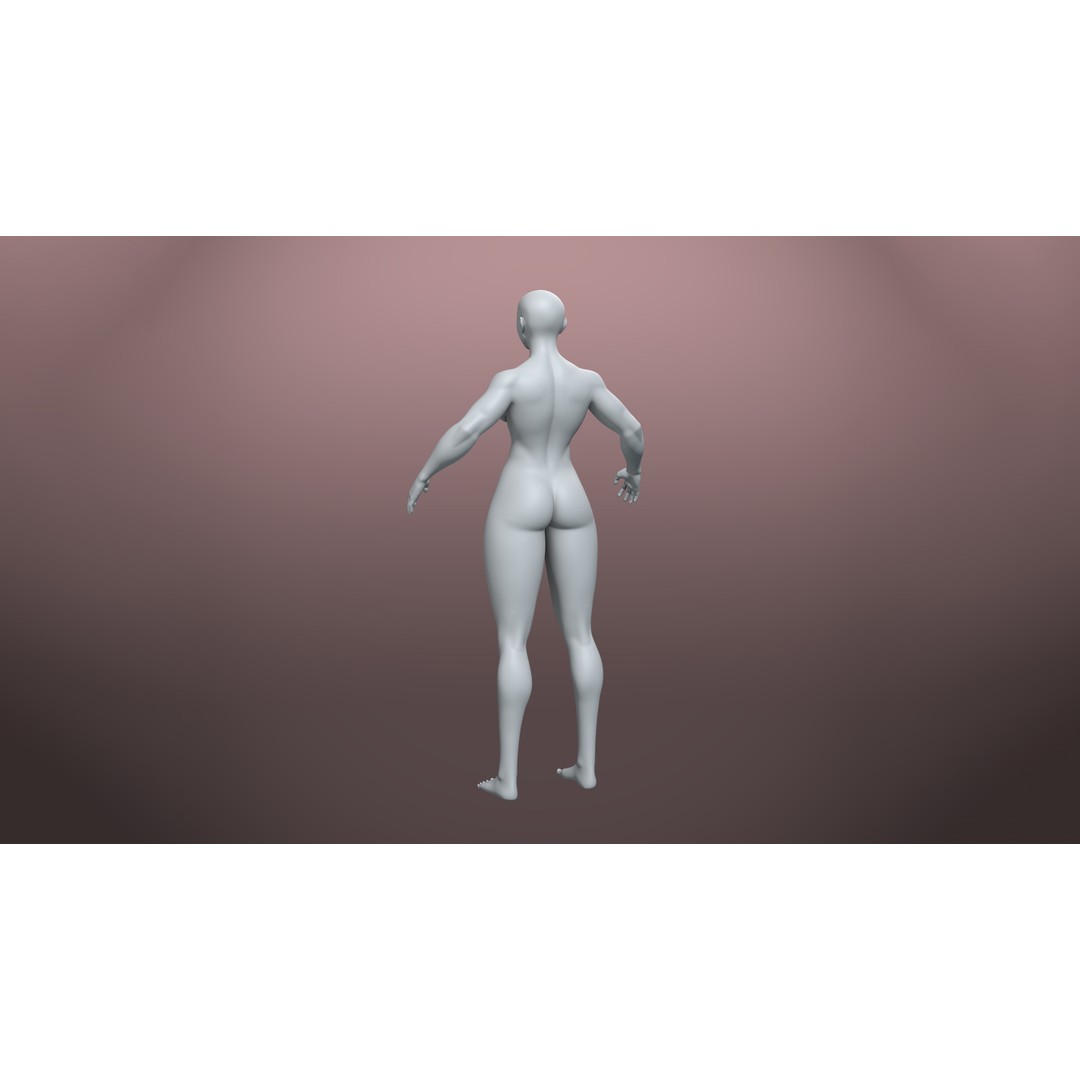 Stylized Basemesh Pack 3D Model – Low Poly Character Meshes, FBX/Blender - View 6