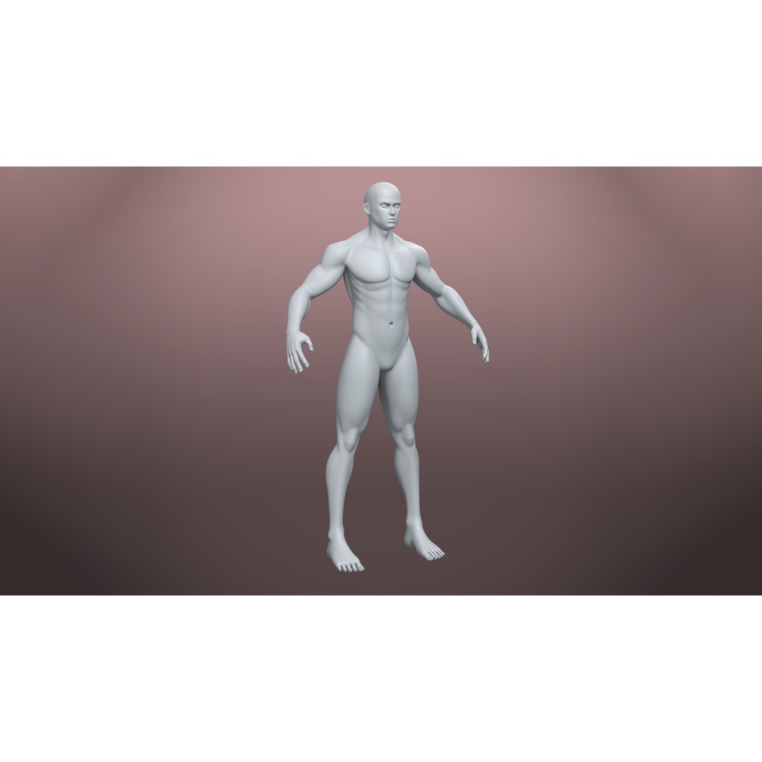 Stylized Basemesh Pack 3D Model – Low Poly Character Meshes, FBX/Blender - View 7