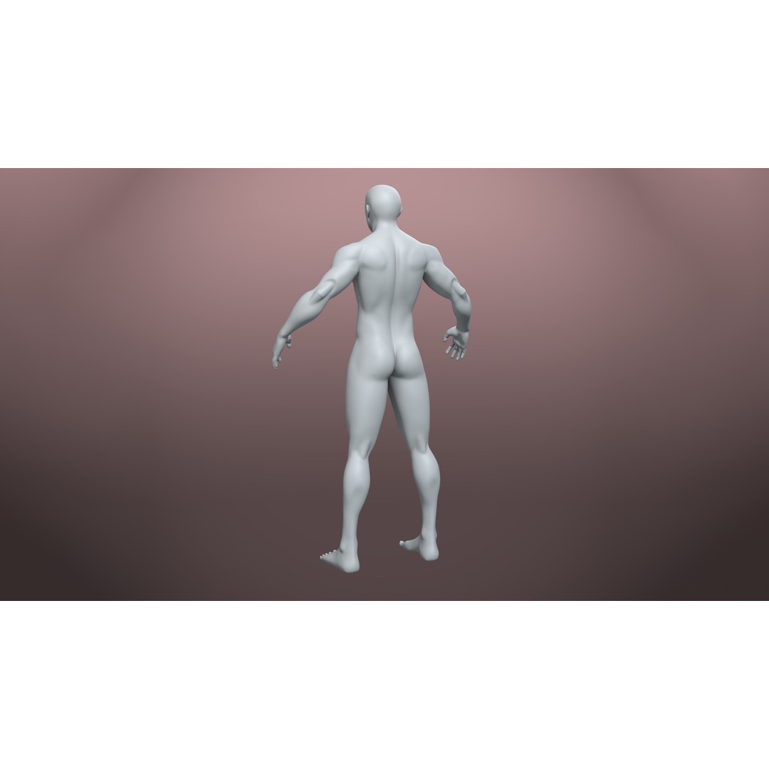 Stylized Basemesh Pack 3D Model – Low Poly Character Meshes, FBX/Blender - View 8
