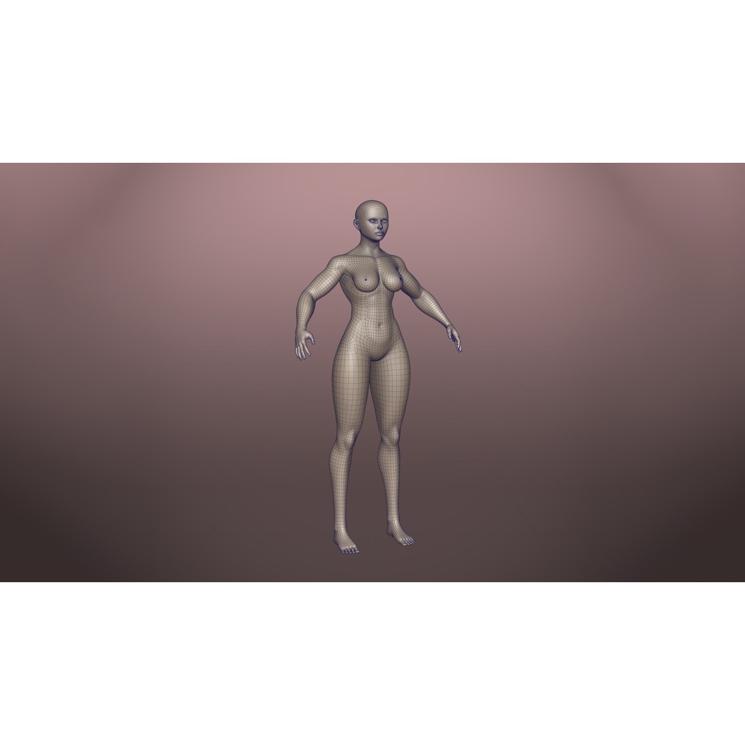 Stylized Basemesh Pack 3D Model – Low Poly Character Meshes, FBX/Blender - View 9