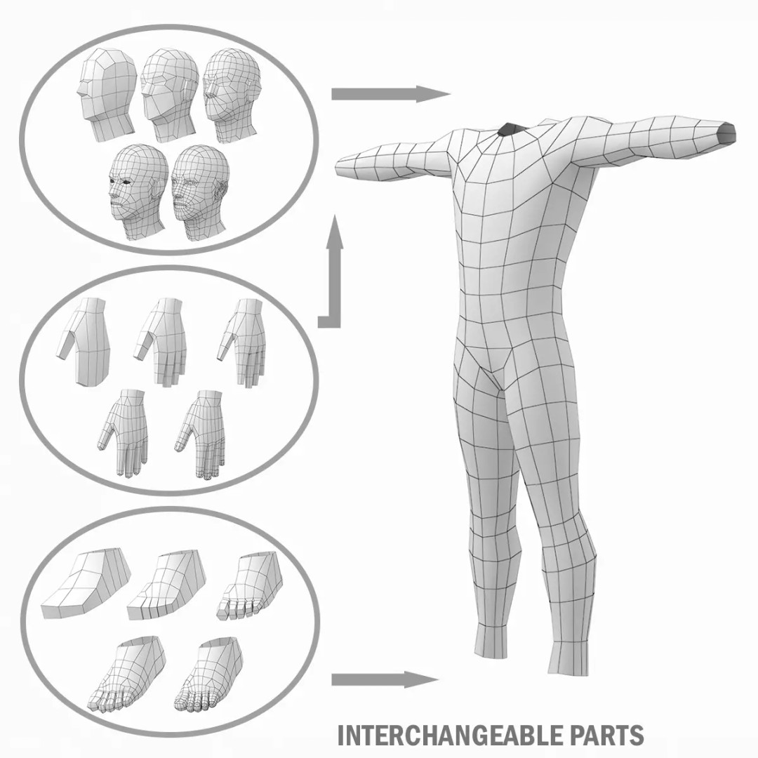 Natural Male 3D Model – Low Poly T-Pose Base Mesh, FBX & More