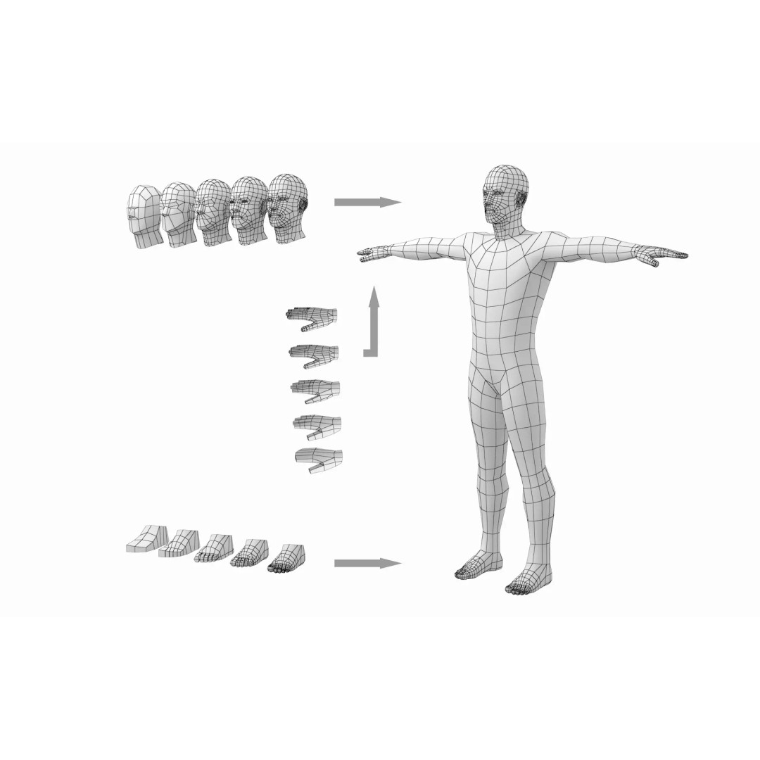 Natural Male 3D Model – Low Poly T-Pose Base Mesh, FBX & More - View 18