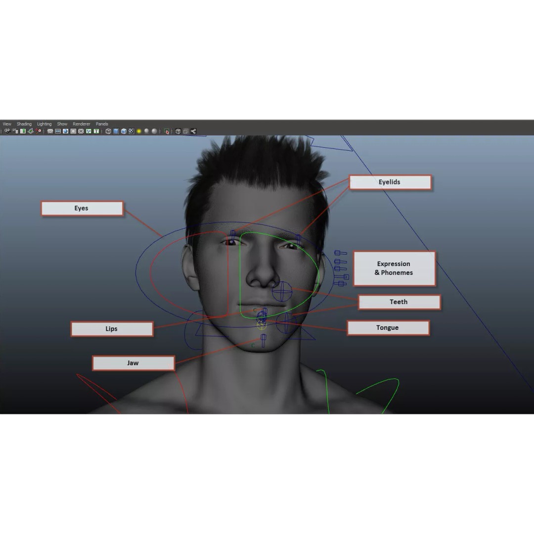 Animated Male Tom 3D Model – Low Poly Character with Rigging and Textures