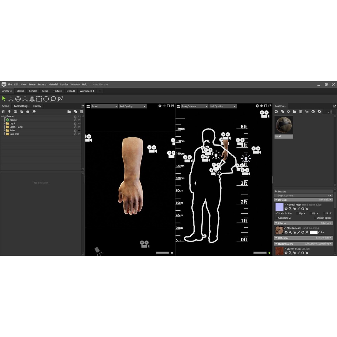 Human Hand 3D Model – Low Poly Realistic Character Asset, FBX/OBJ