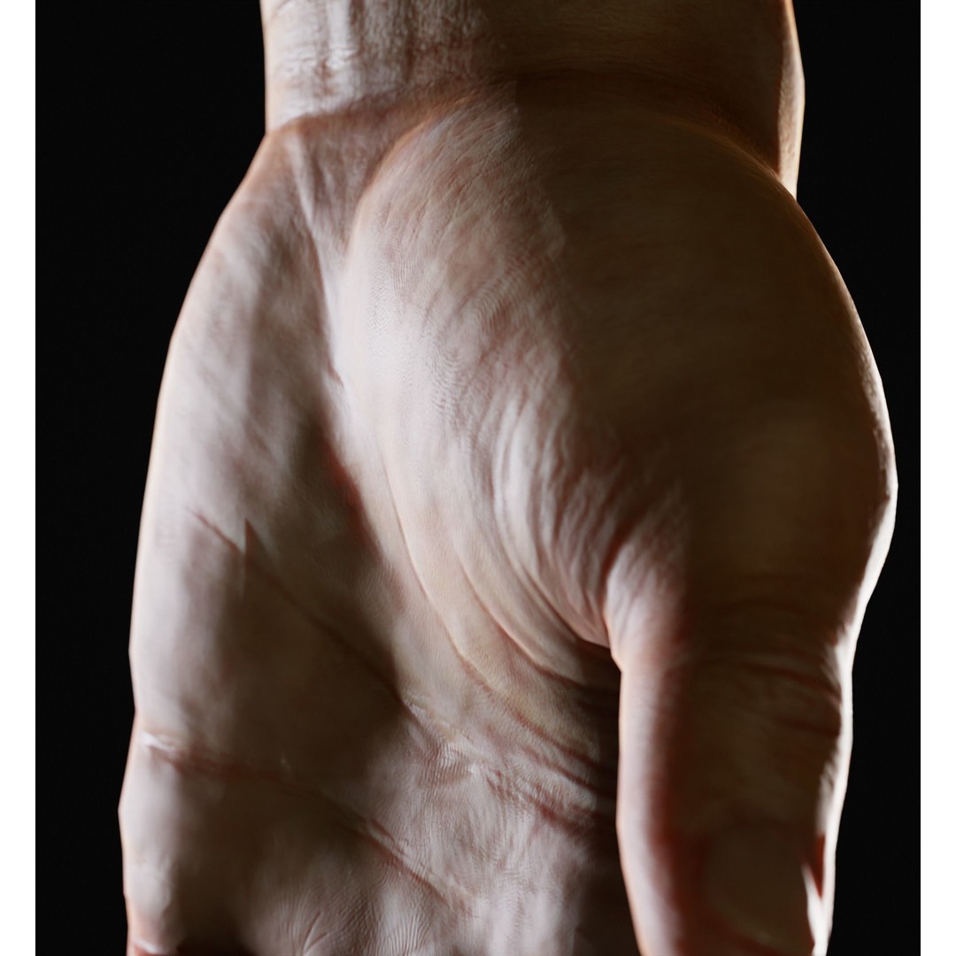 Human Hand 3D Model – Low Poly Realistic Character Asset, FBX/OBJ - View 15