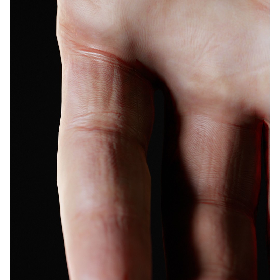 Human Hand 3D Model – Low Poly Realistic Character Asset, FBX/OBJ - View 17