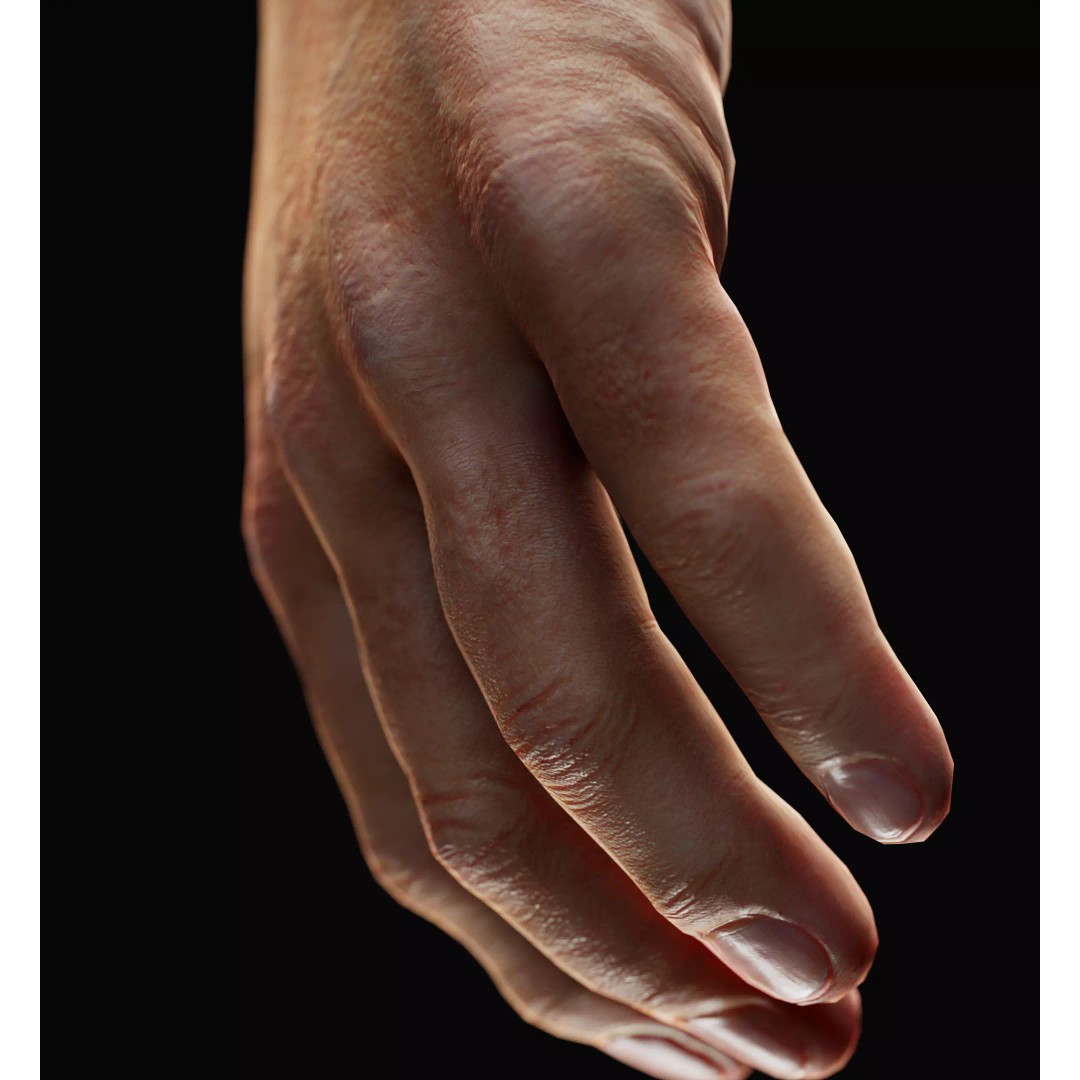 Human Hand 3D Model – Low Poly Realistic Character Asset, FBX/OBJ - View 2