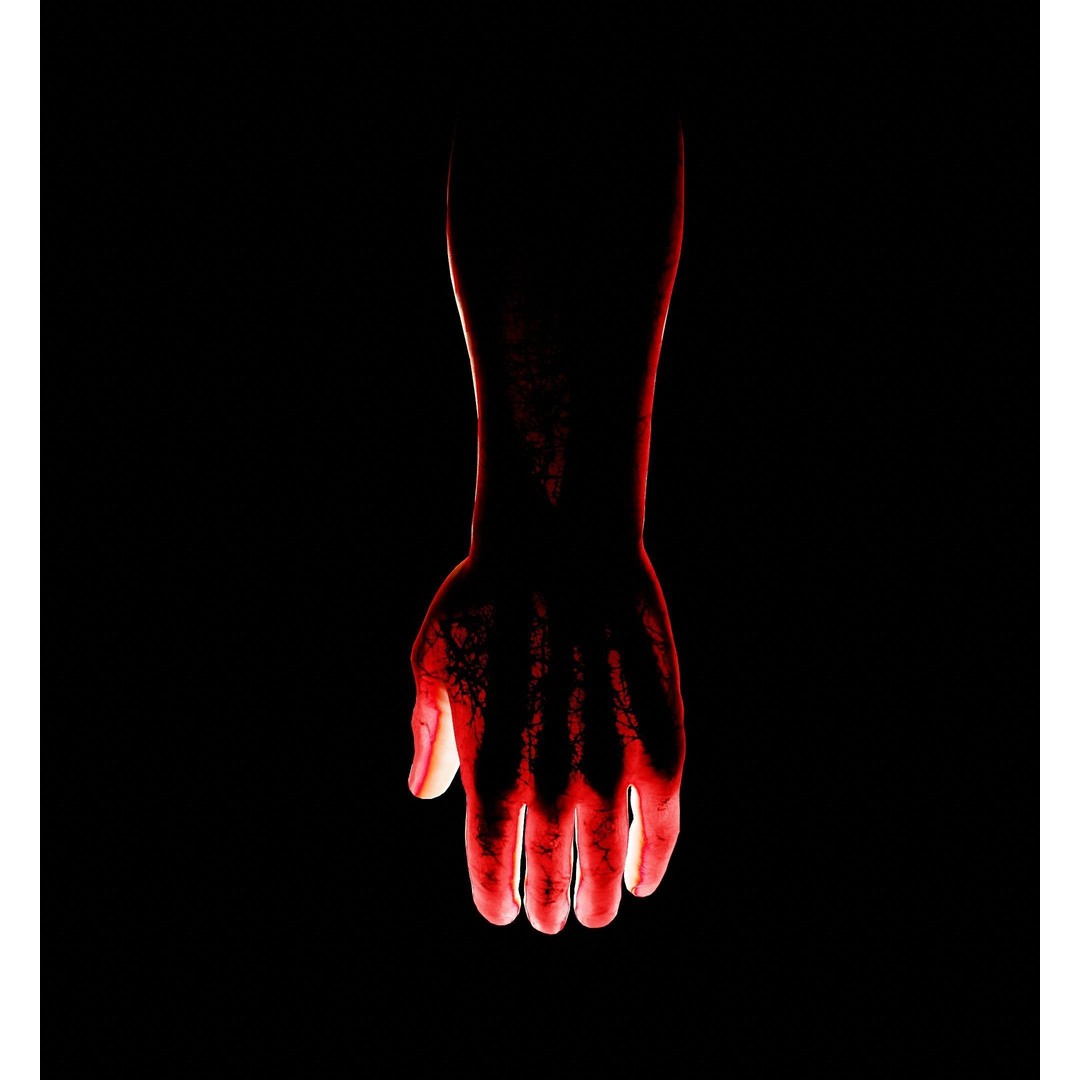 Human Hand 3D Model – Low Poly Realistic Character Asset, FBX/OBJ - View 21