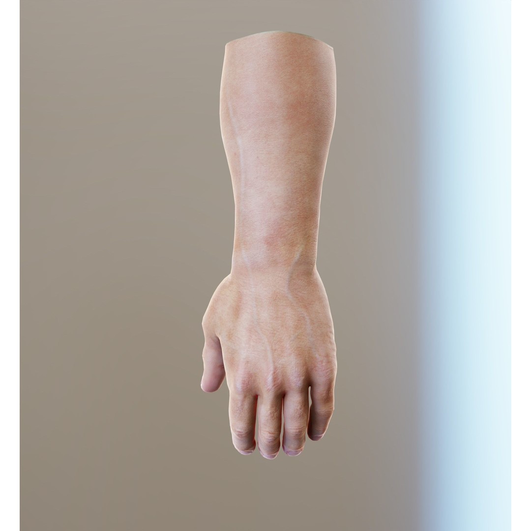 Human Hand 3D Model – Low Poly Realistic Character Asset, FBX/OBJ - View 22