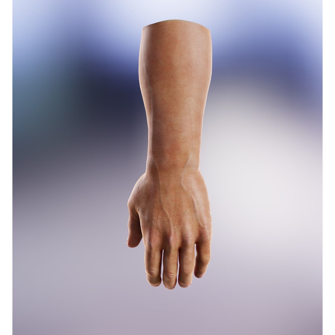 Human Hand 3D Model – Low Poly Realistic Character Asset, FBX/OBJ - View 23