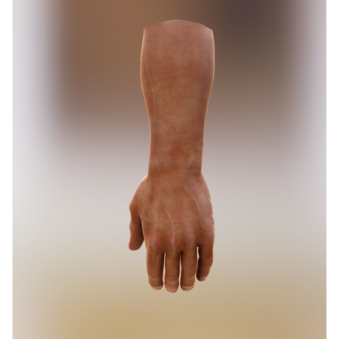 Human Hand 3D Model – Low Poly Realistic Character Asset, FBX/OBJ - View 24