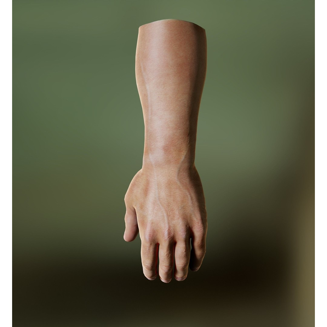 Human Hand 3D Model – Low Poly Realistic Character Asset, FBX/OBJ - View 25