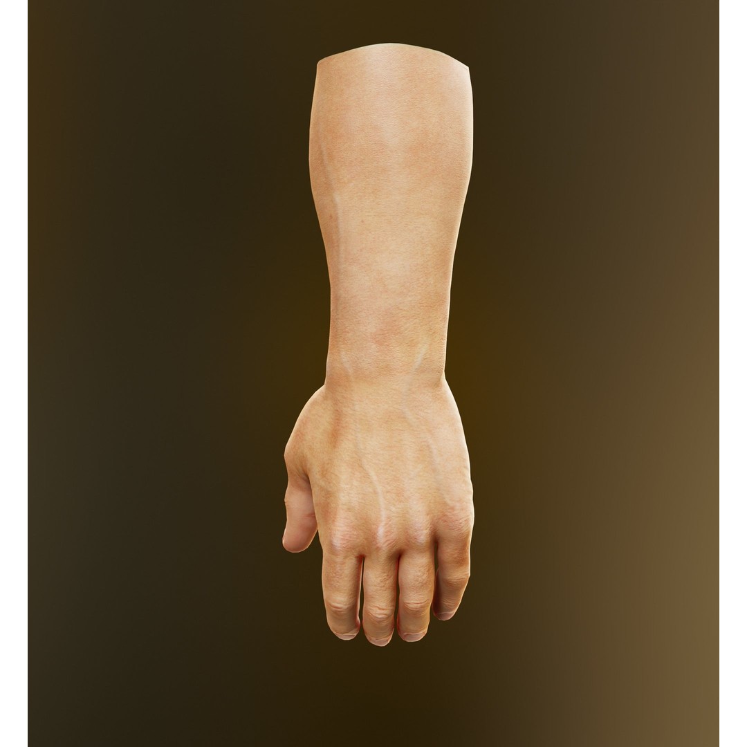 Human Hand 3D Model – Low Poly Realistic Character Asset, FBX/OBJ - View 26