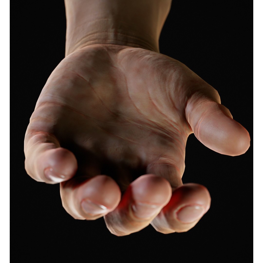 Human Hand 3D Model – Low Poly Realistic Character Asset, FBX/OBJ - View 8