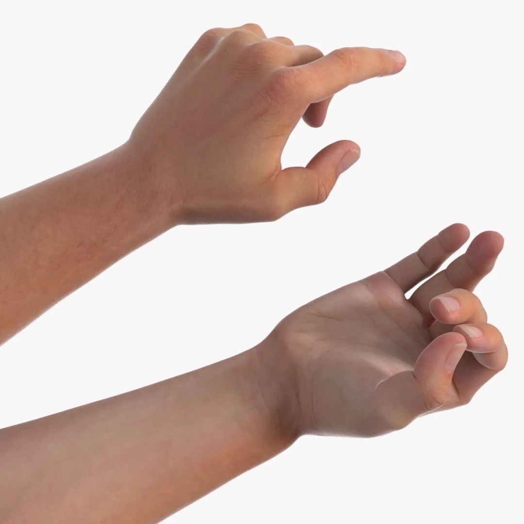 Realistic Male Arm Pair 3D Model – Rigged Anatomical Asset, FBX - View 10