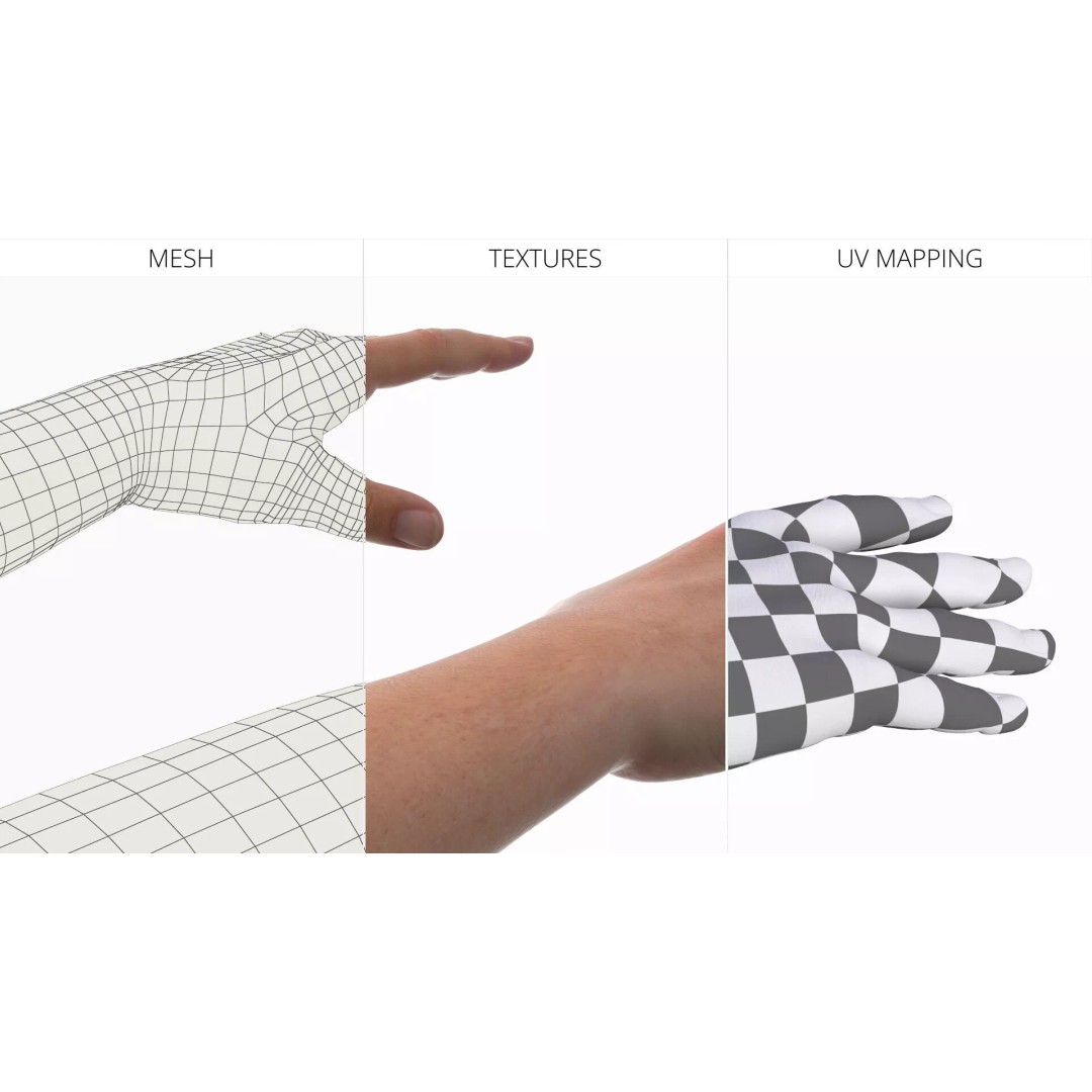 Realistic Male Arm Pair 3D Model – Rigged Anatomical Asset, FBX - View 11