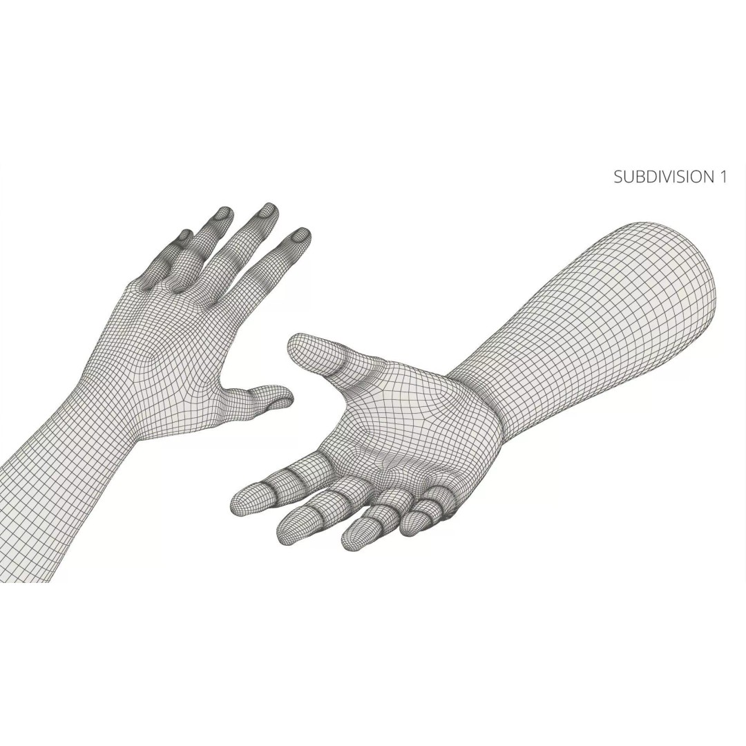 Realistic Male Arm Pair 3D Model – Rigged Anatomical Asset, FBX - View 13