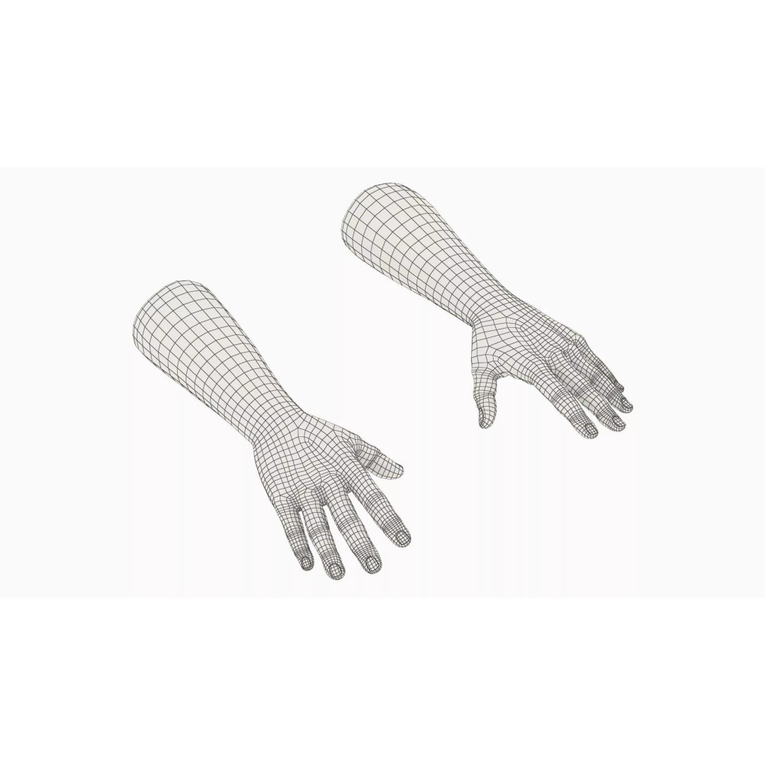 Realistic Male Arm Pair 3D Model – Rigged Anatomical Asset, FBX - View 14