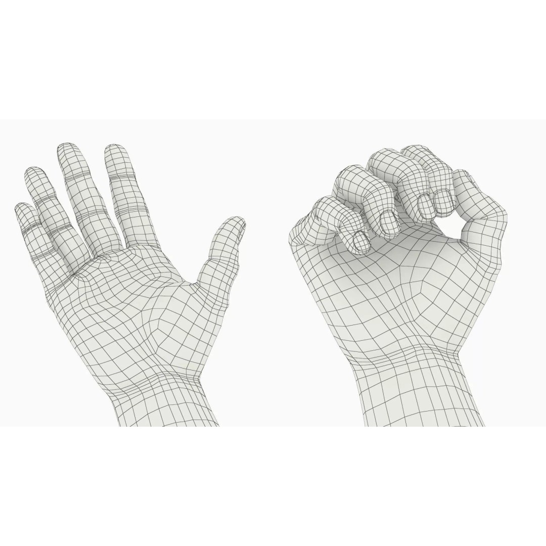 Realistic Male Arm Pair 3D Model – Rigged Anatomical Asset, FBX - View 15