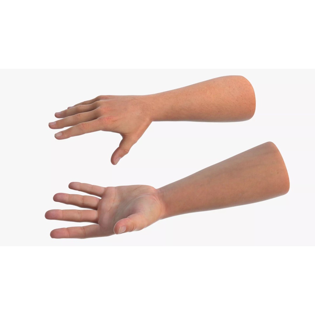 Realistic Male Arm Pair 3D Model – Rigged Anatomical Asset, FBX - View 2