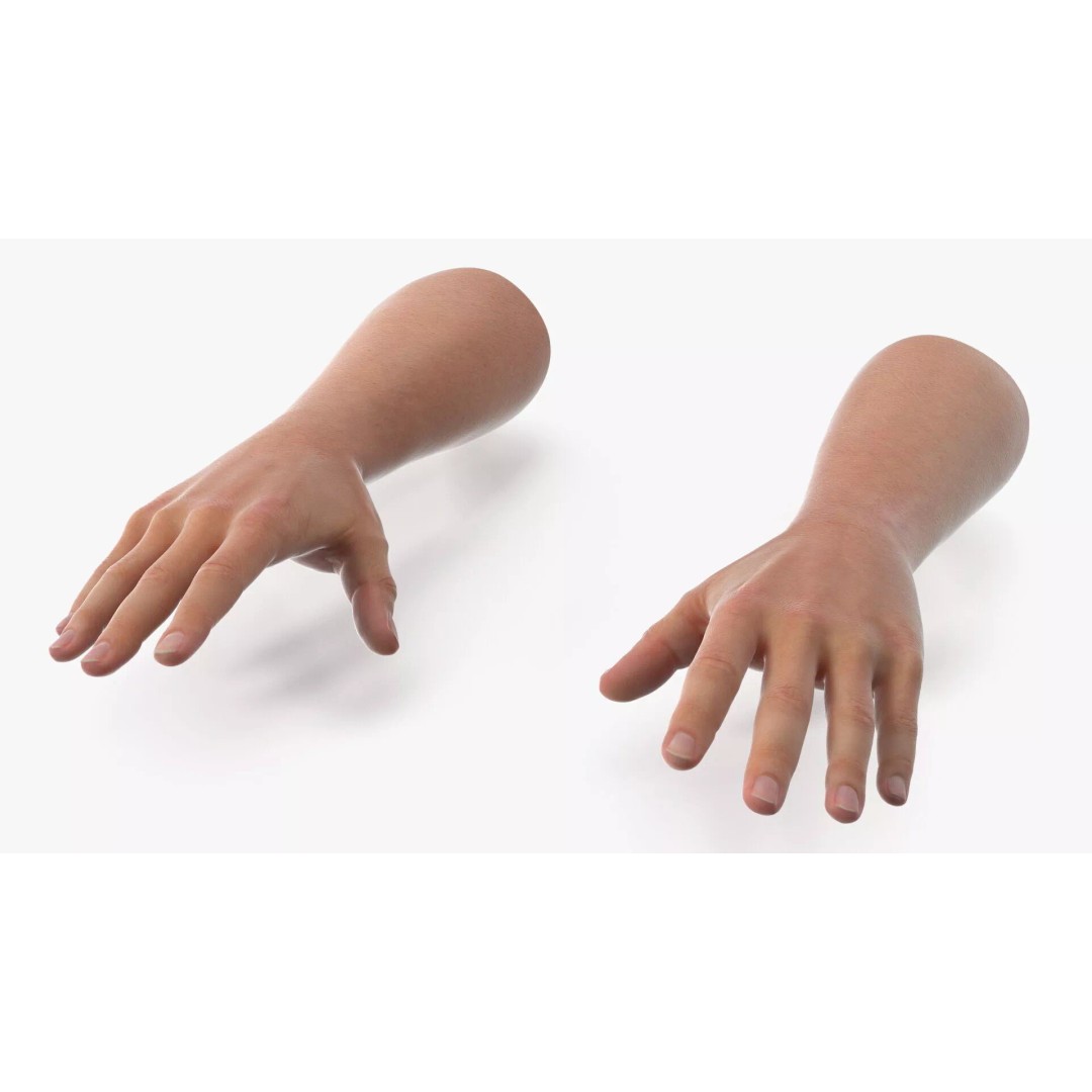 Realistic Male Arm Pair 3D Model – Rigged Anatomical Asset, FBX - View 5