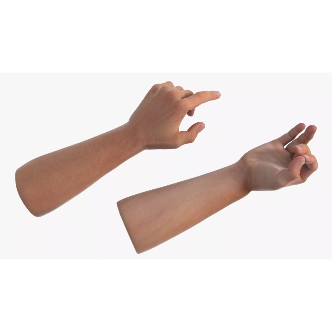 Realistic Male Arm Pair 3D Model – Rigged Anatomical Asset, FBX - View 6