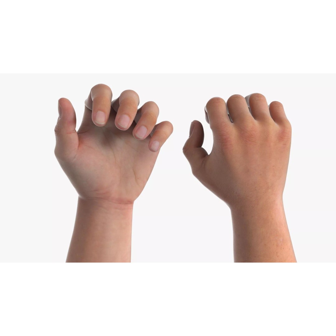 Realistic Male Arm Pair 3D Model – Rigged Anatomical Asset, FBX - View 7