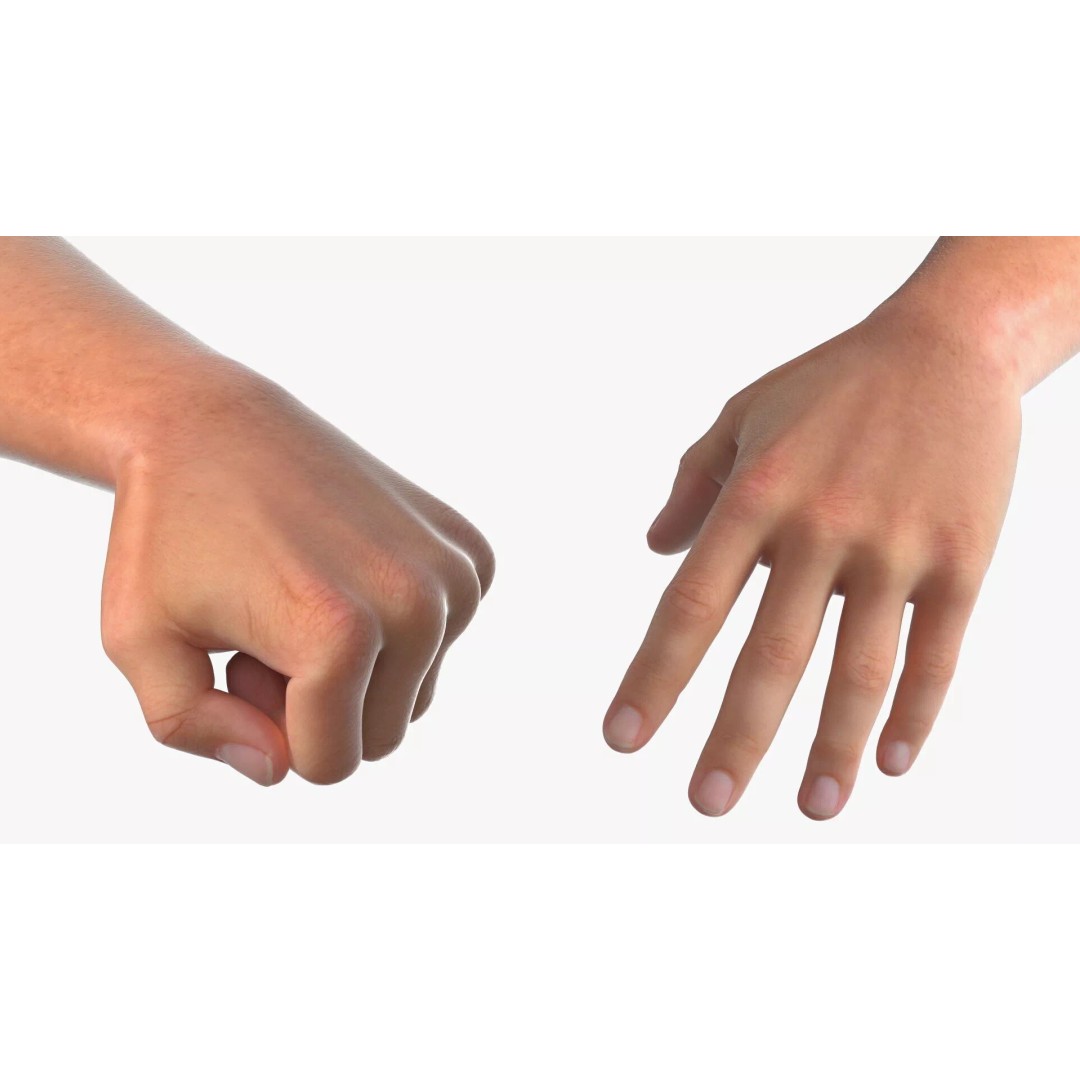 Realistic Male Arm Pair 3D Model – Rigged Anatomical Asset, FBX - View 8