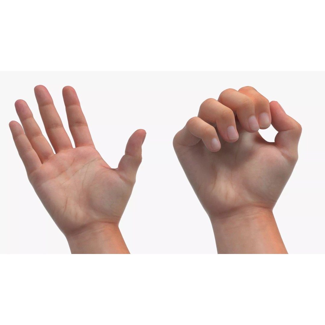 Realistic Male Arm Pair 3D Model – Rigged Anatomical Asset, FBX - View 9