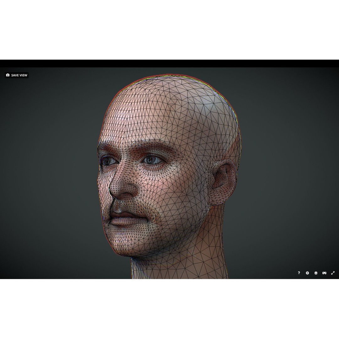 Realistic Male Head 3D Model – Low Poly Game Asset, FBX, PBR