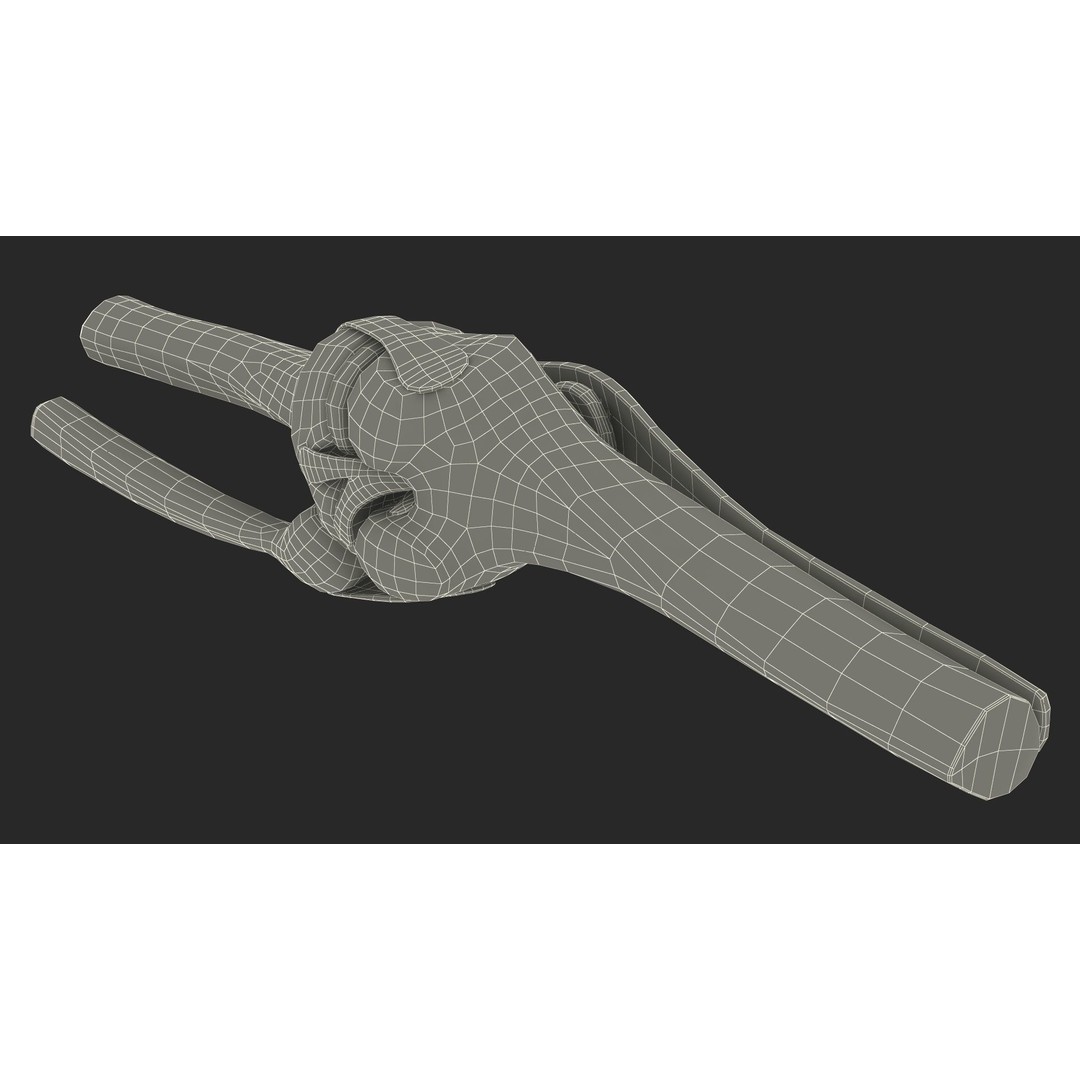 Knee Joint 3D Model – Rigged Anatomical Asset for Medical Use - View 26
