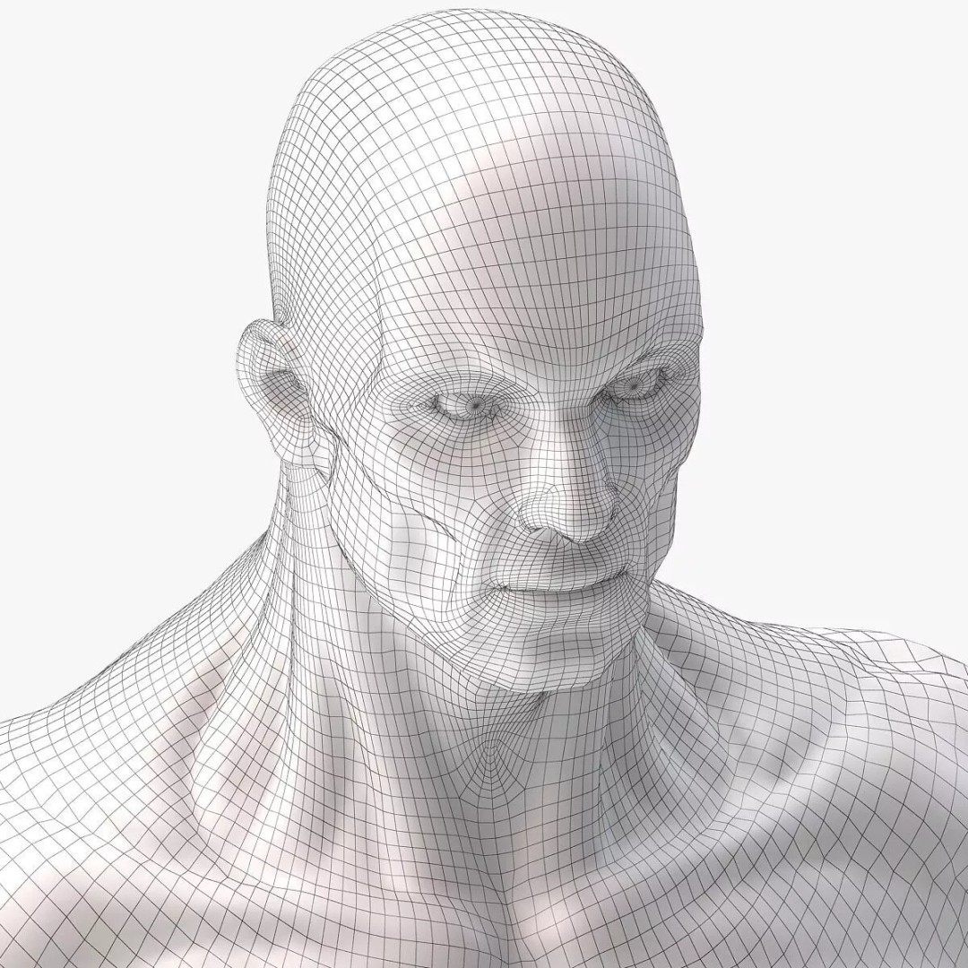 Muscular System 3D Model – Anatomical Male Body with PBR Textures, FBX - View 10
