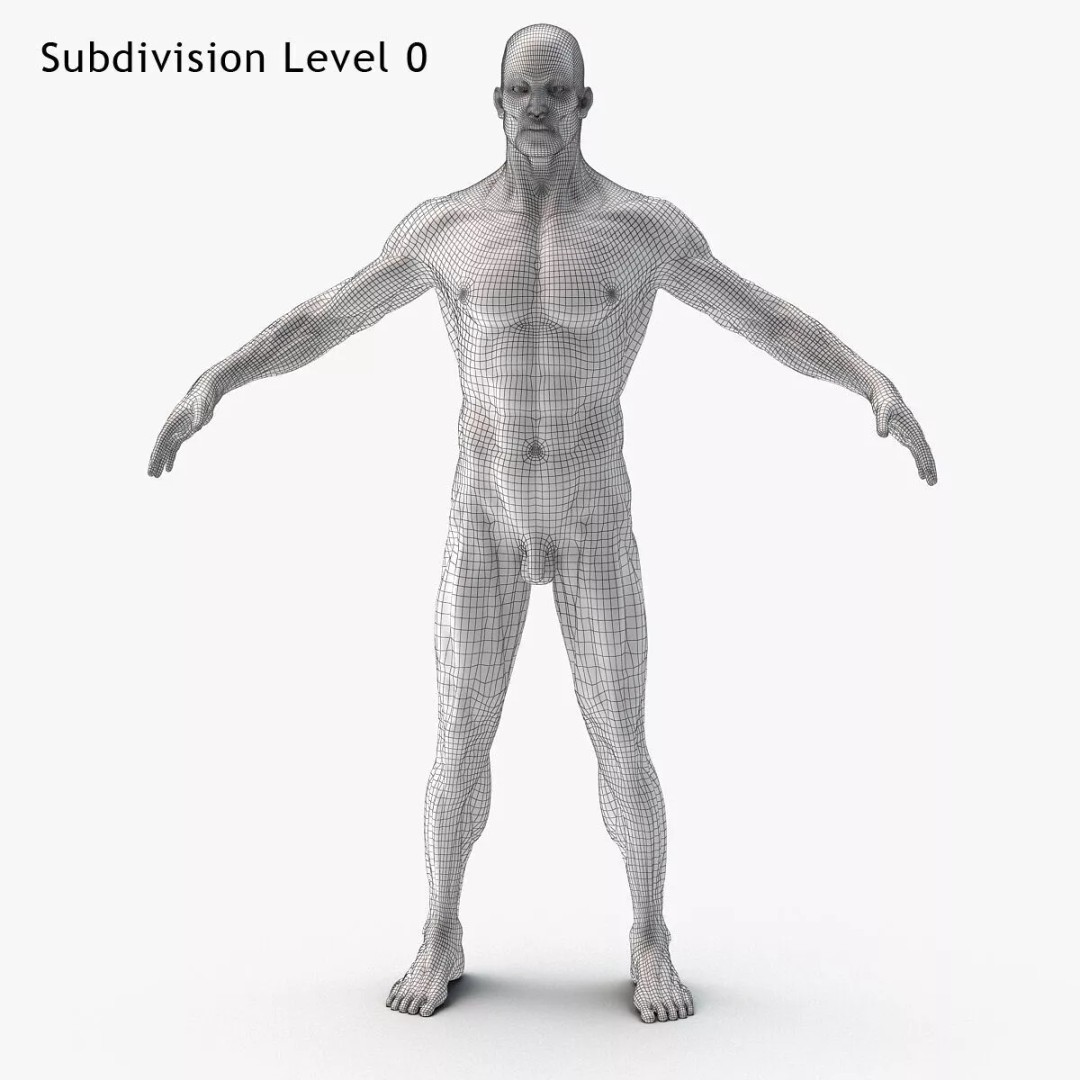 Muscular System 3D Model – Anatomical Male Body with PBR Textures, FBX - View 12