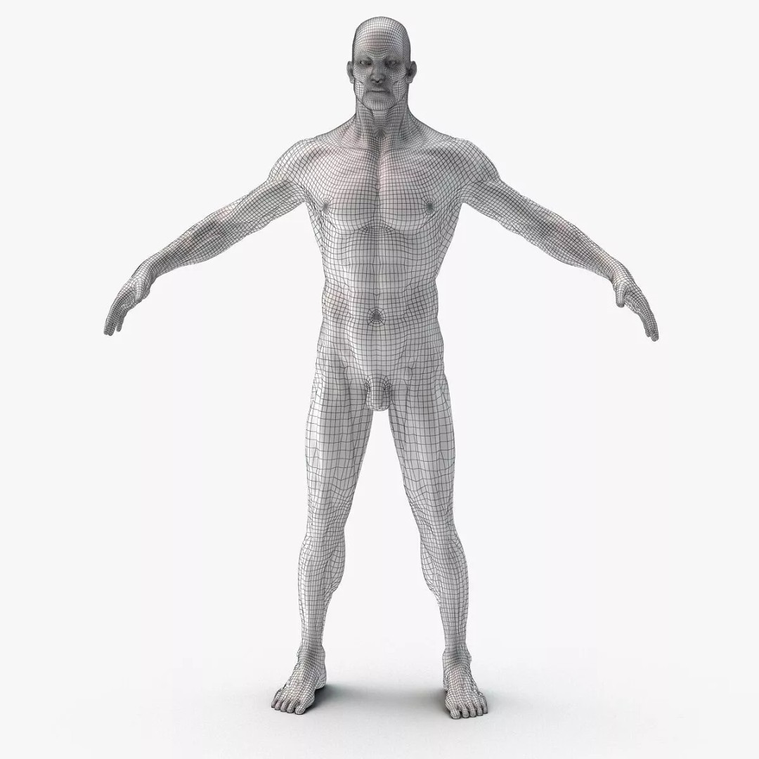Muscular System 3D Model – Anatomical Male Body with PBR Textures, FBX - View 9