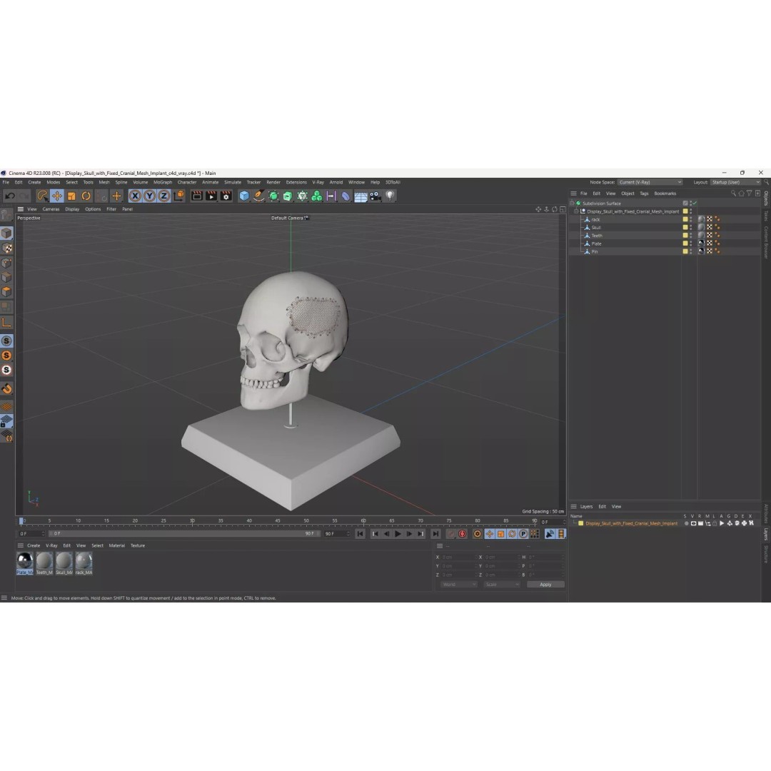 Display Skull 3D Model – Medical Anatomical Representation with PBR Textures