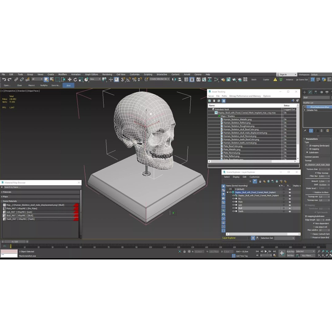 Display Skull 3D Model – Medical Anatomical Representation with PBR Textures - View 16