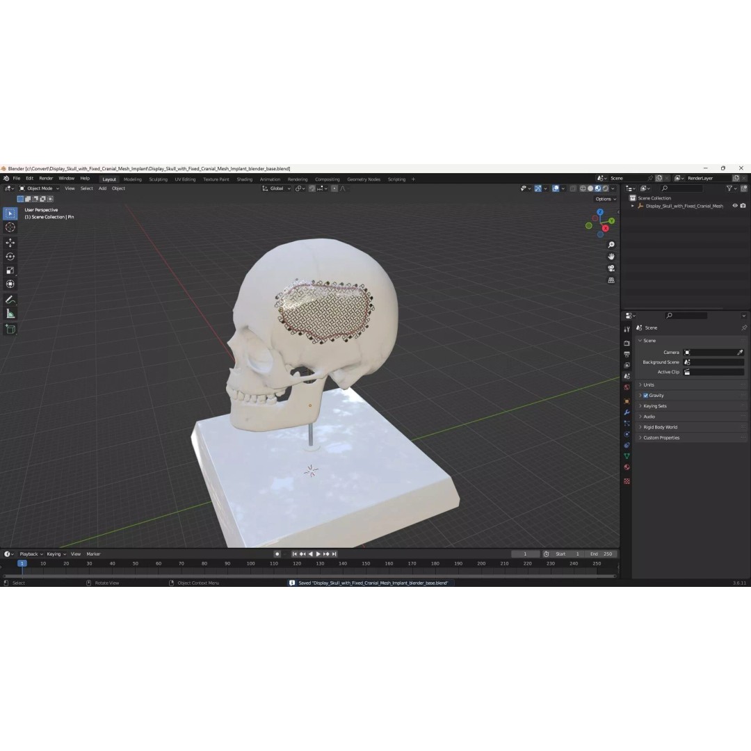 Display Skull 3D Model – Medical Anatomical Representation with PBR Textures - View 17