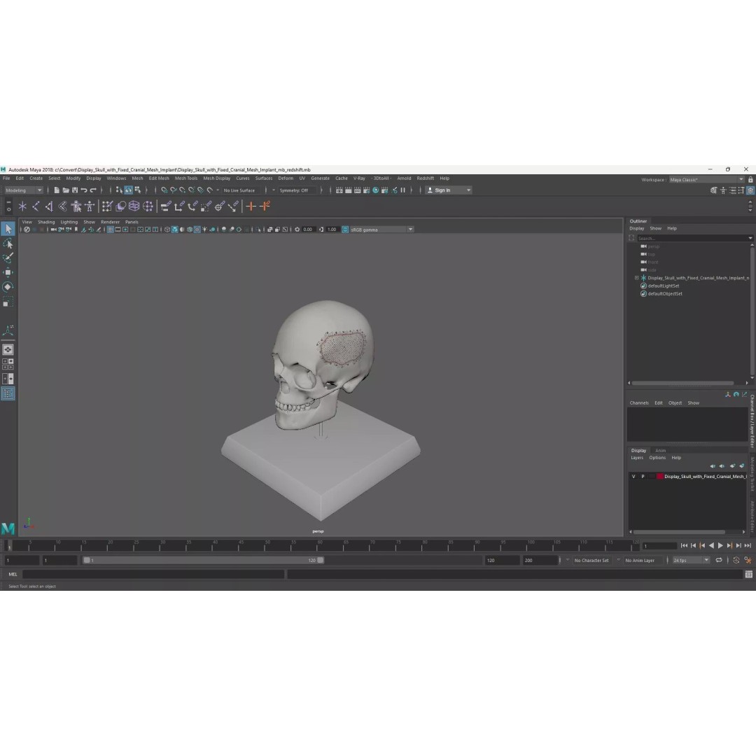 Display Skull 3D Model – Medical Anatomical Representation with PBR Textures - View 18