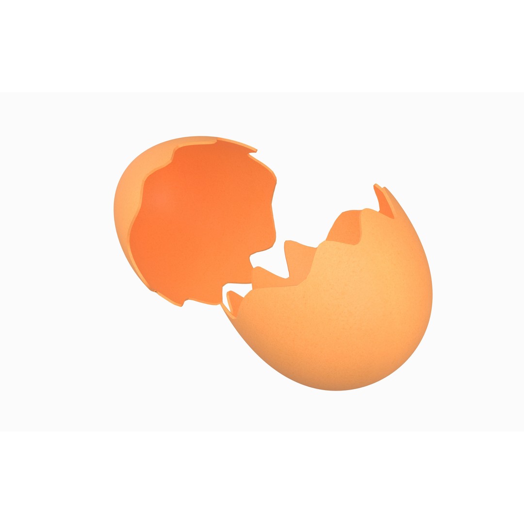Egg Shell 3D Model – Low Poly Game Asset, PBR Textures, Multiple Formats - View 4