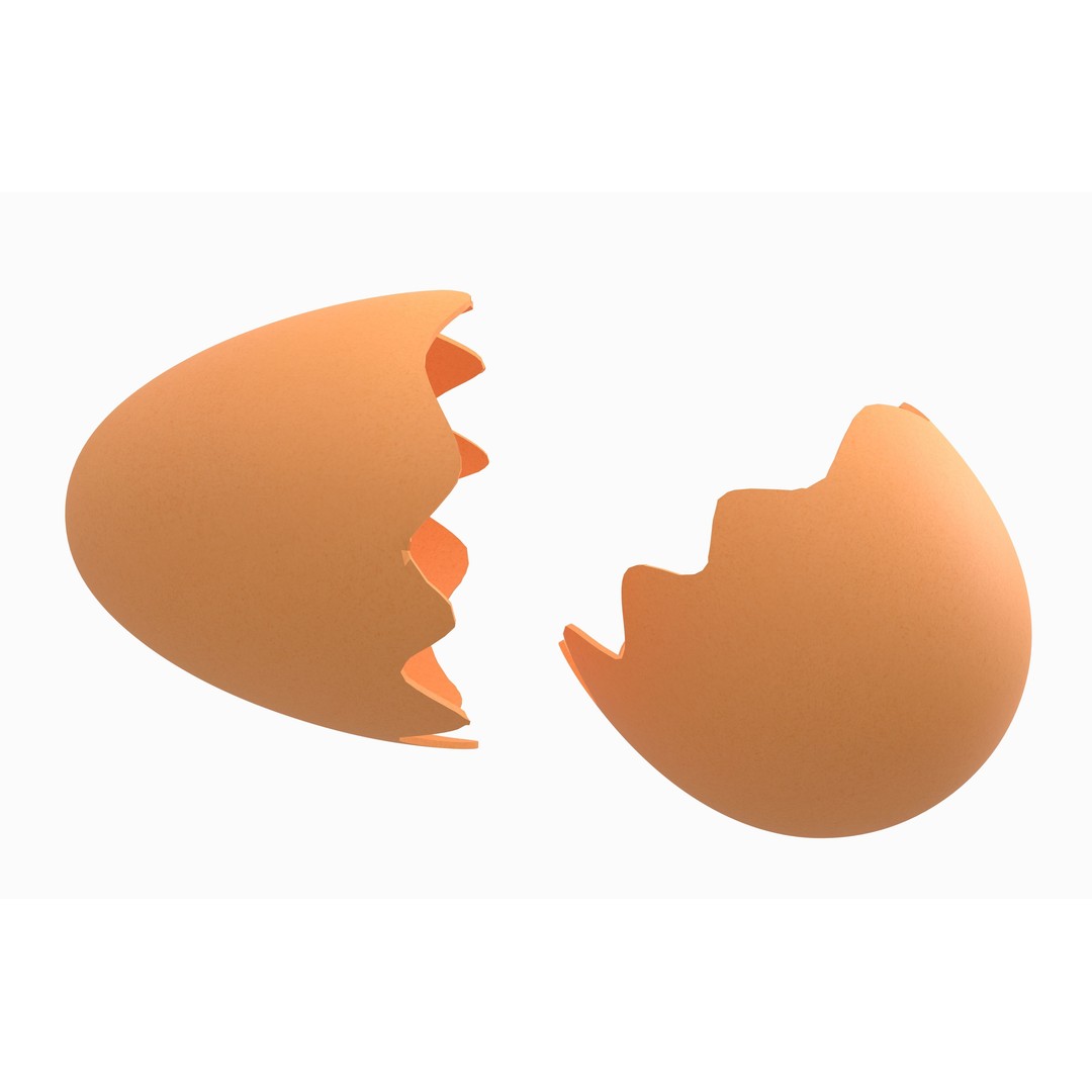 Egg Shell 3D Model – Low Poly Game Asset, PBR Textures, Multiple Formats - View 5
