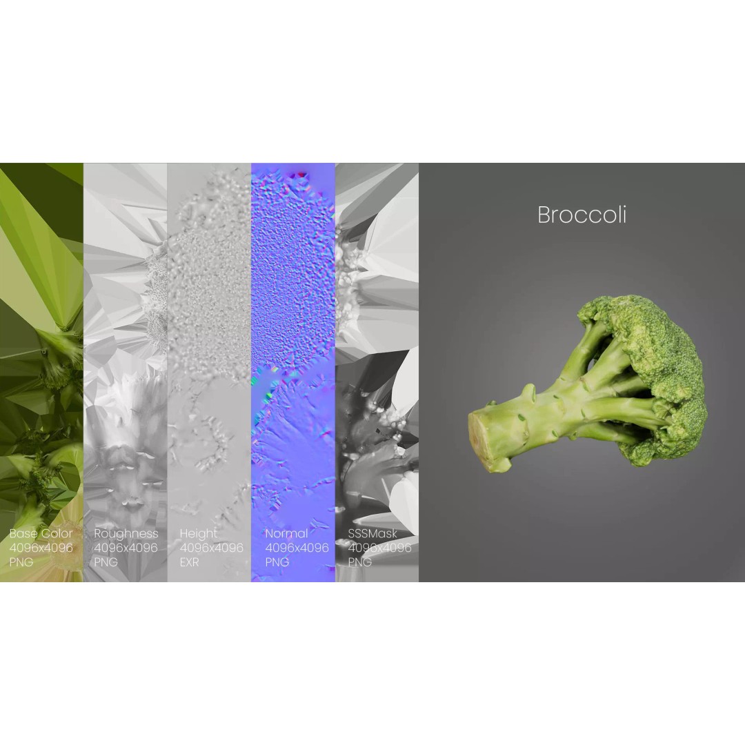 Broccoli 3D Model – Photorealistic PBR Asset for Food Visualization