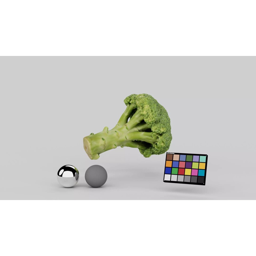 Broccoli 3D Model – Photorealistic PBR Asset for Food Visualization - View 2
