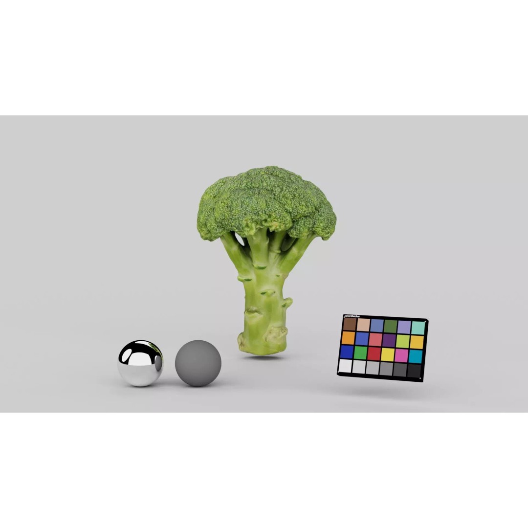 Broccoli 3D Model – Photorealistic PBR Asset for Food Visualization - View 3