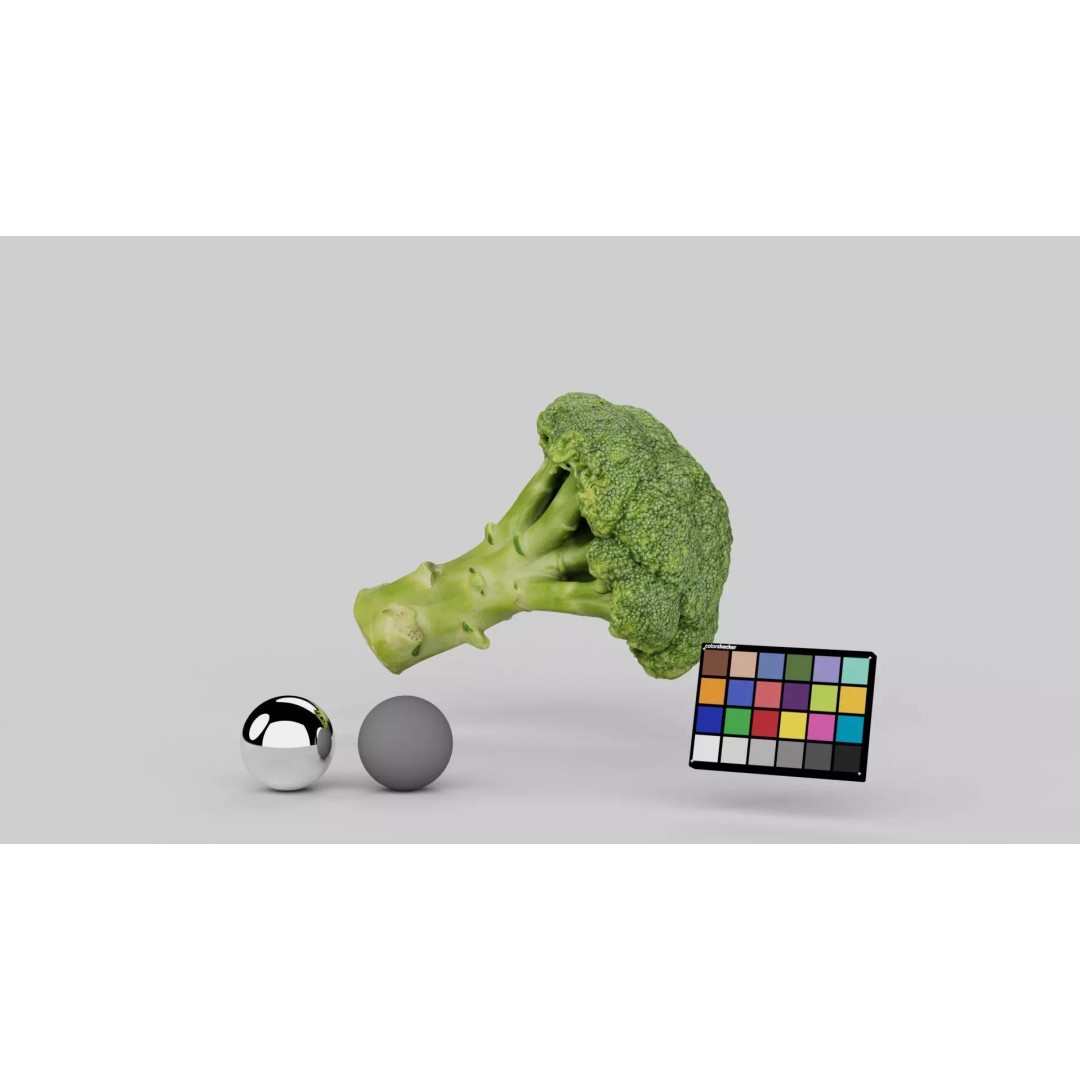 Broccoli 3D Model – Photorealistic PBR Asset for Food Visualization - View 4