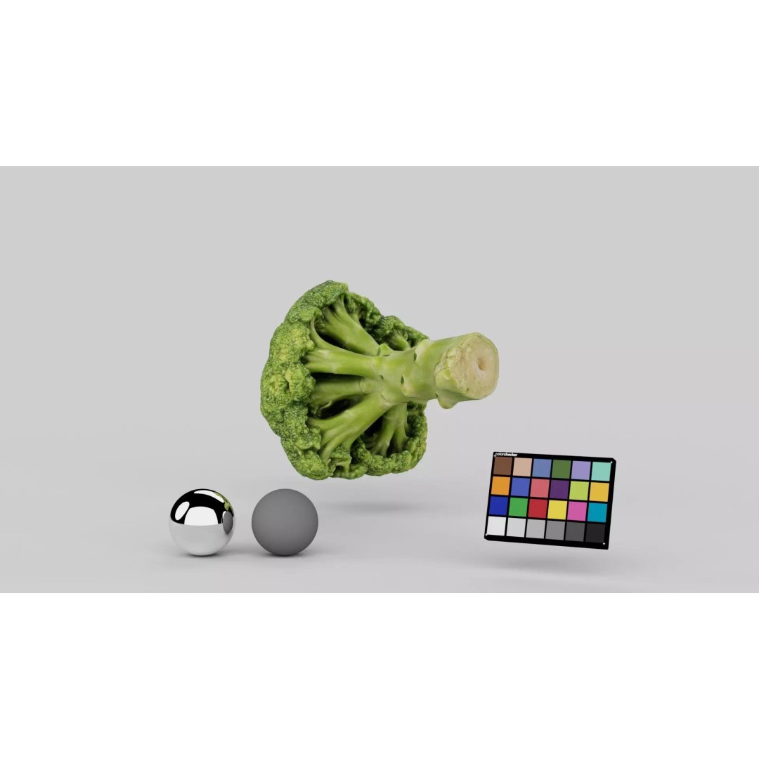 Broccoli 3D Model – Photorealistic PBR Asset for Food Visualization - View 5