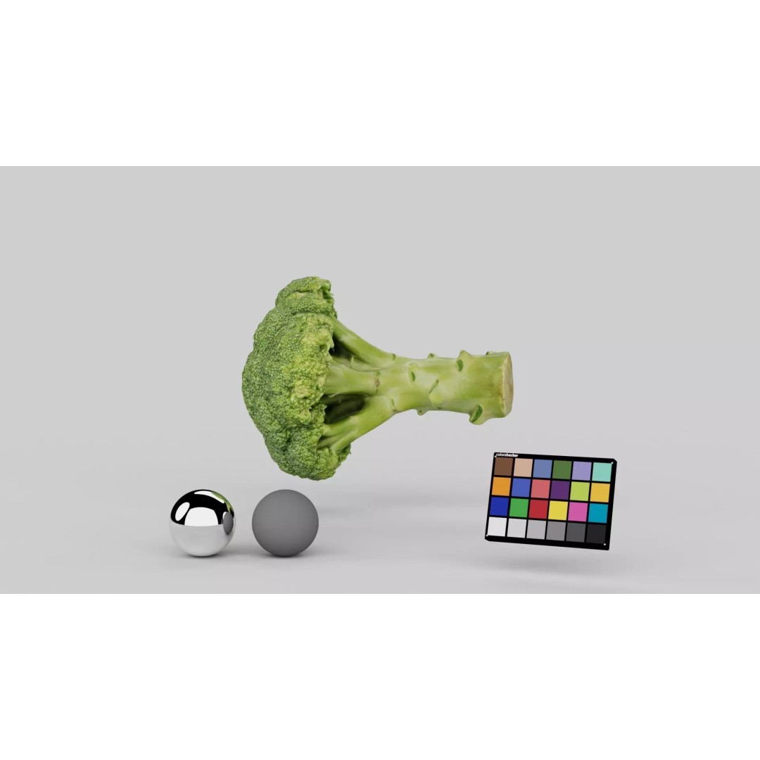 Broccoli 3D Model – Photorealistic PBR Asset for Food Visualization - View 6