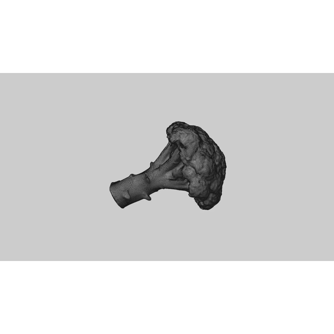 Broccoli 3D Model – Photorealistic PBR Asset for Food Visualization - View 7