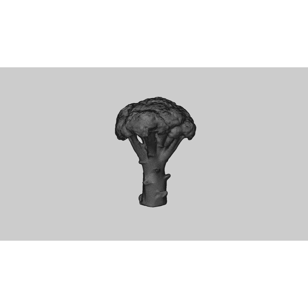 Broccoli 3D Model – Photorealistic PBR Asset for Food Visualization - View 8